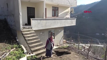 Trabzon Düvesi 'Ayşegül'e Sürpriz Doğum Günü Yapan Kadının Hayvan Sevgisi