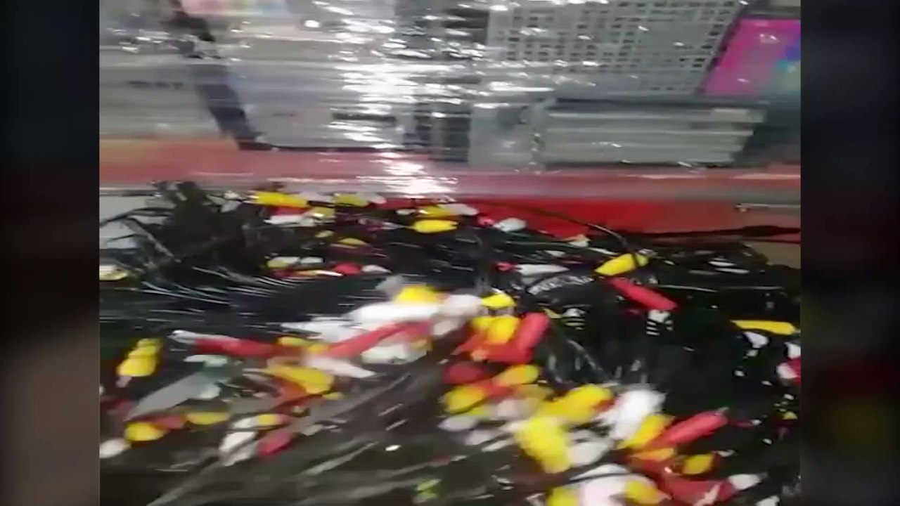 325 كاميرا تجسس أحبط الأمن تهريبها عبر قناة السويس