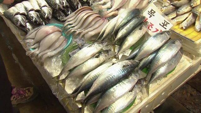 설 앞두고 수산물 원산지 위반 특별 단속 / YTN