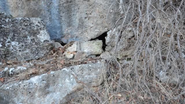 Kayalıklar Arasına Gizlenmiş Eyp Bulundu