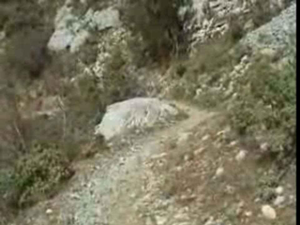 Challenge Edhec 2005