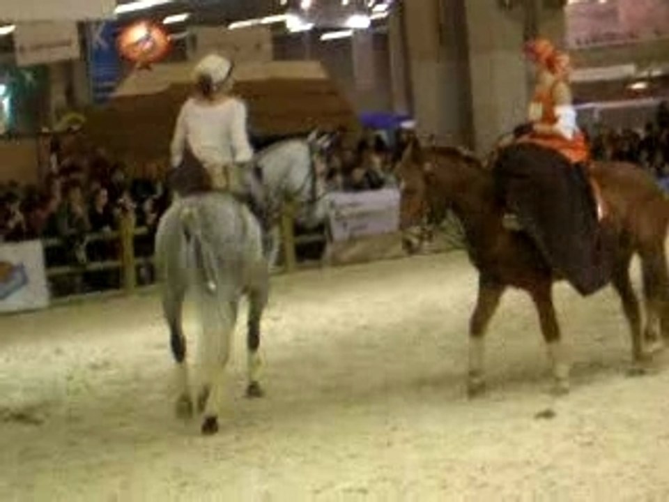 Salon du cheval 2007