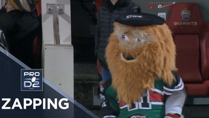 PRO D2 – Le Zapping de la J18– Saison 2018-2019