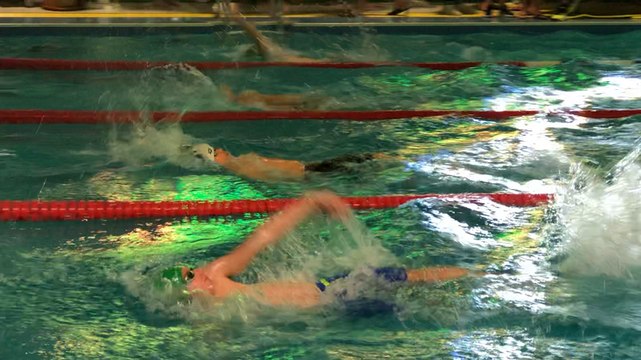 Natation. Meeting de natation Arena à Coutances