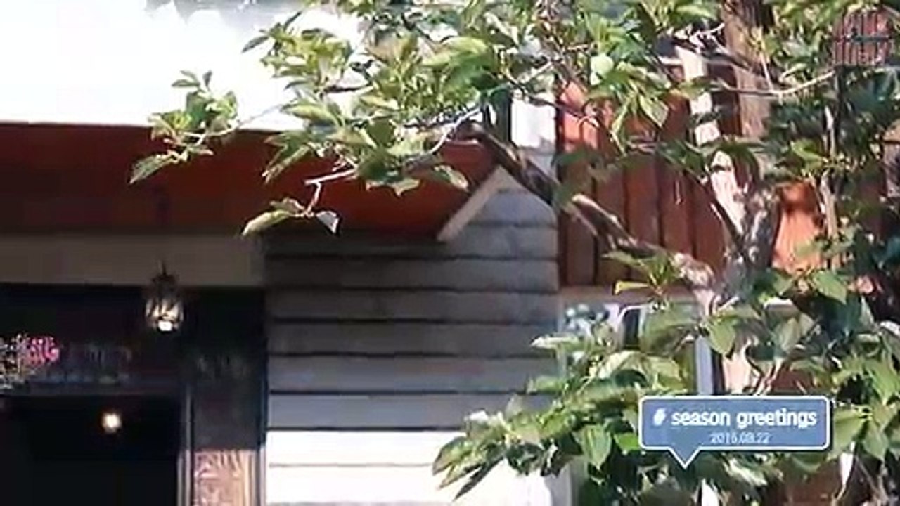 안양출장마사지 - { 카톡TT6889} ⊀Ö7Ô-5180-1616⊁ 안양출장안마'20대' 안양출장안마 출장안마코스 안양출장안마 안양출장마사지-황제 안양출장마사지- 안양콜걸.