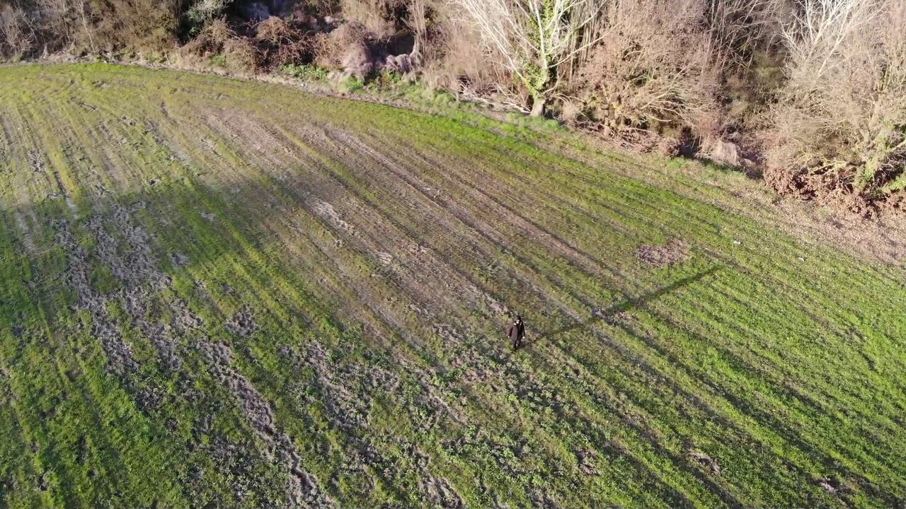 Prima prova Drone