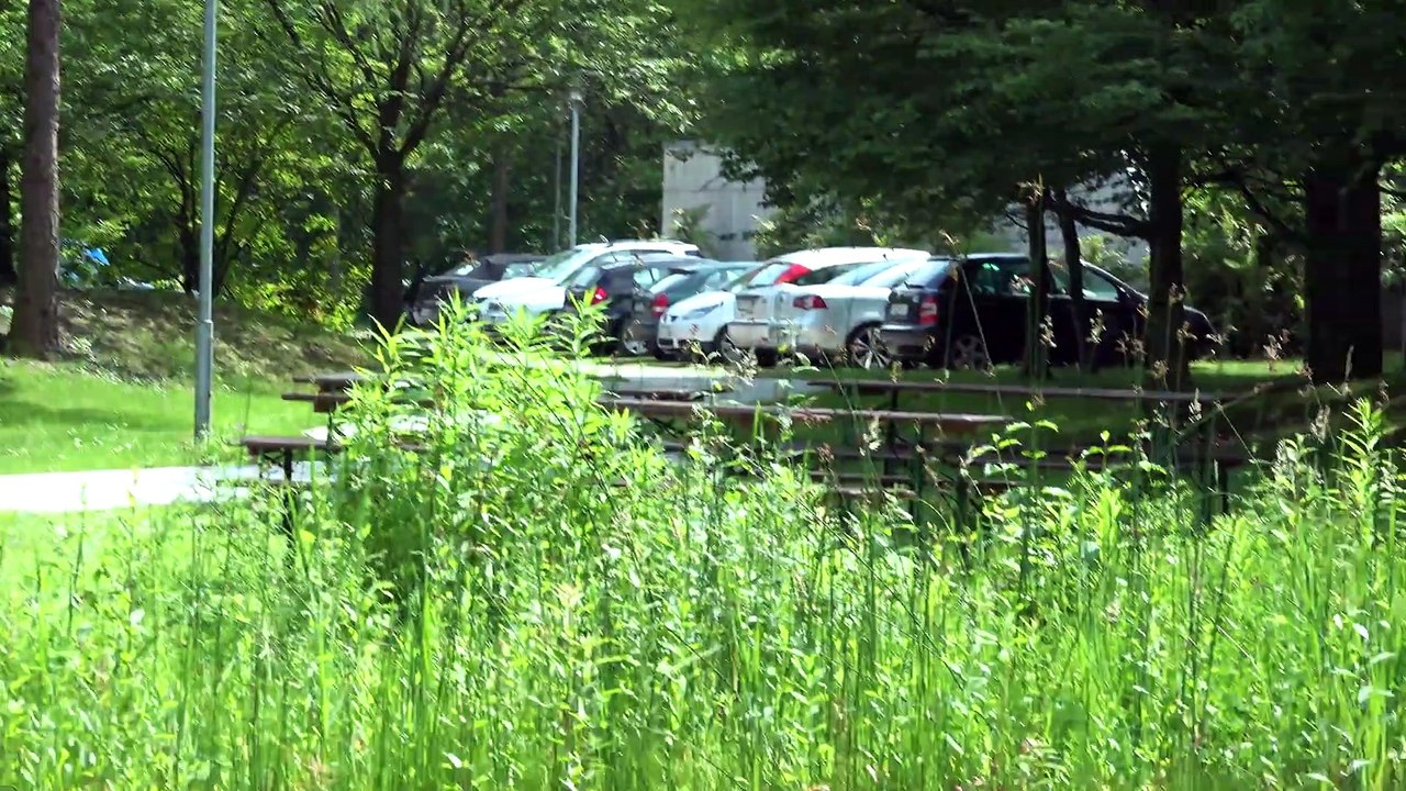 FDR-AX100 sample footage and autofocus test.