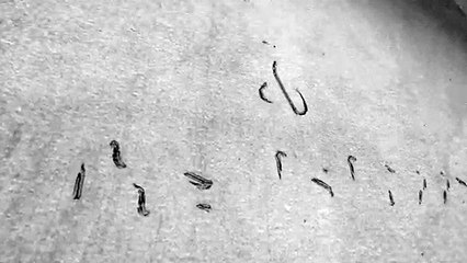 13 Cool Viking Tattoos to Channel Your Inner Norse God