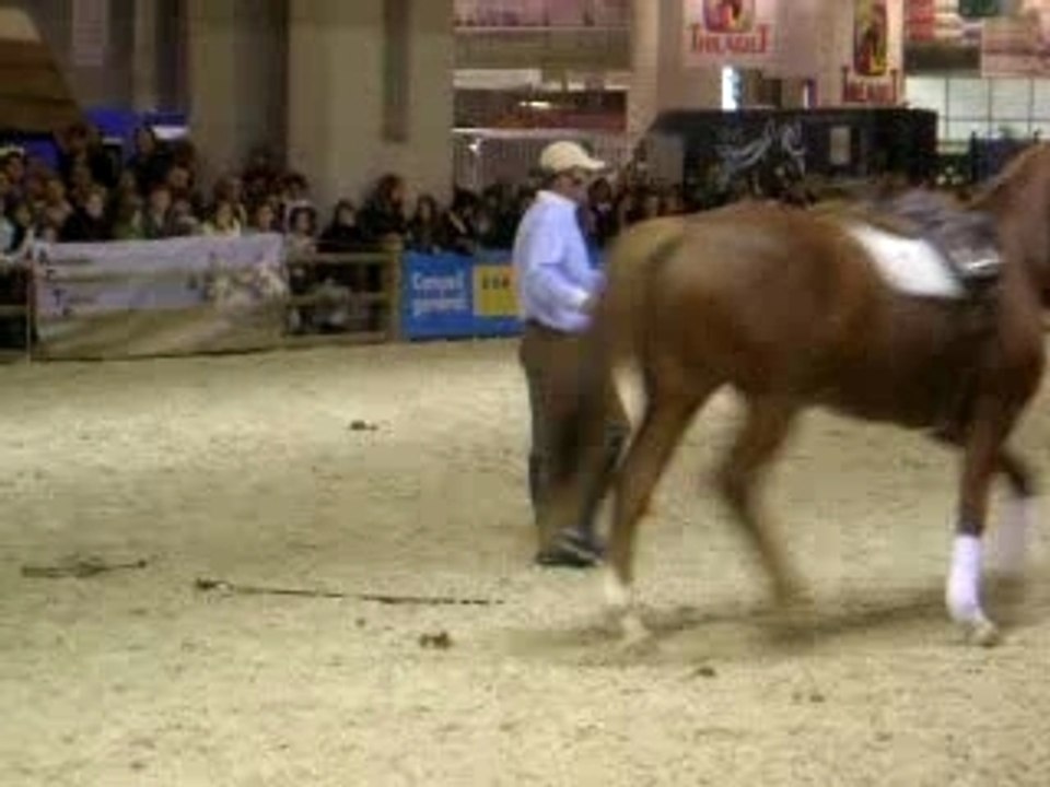 Andy Booth Salon du Cheval 2007