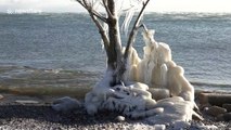 Ontario winter storm creates stunning lakeside ice sculptures