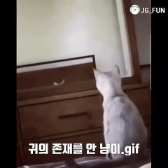 졸업증명서위조  카톡아이디 : best3838  #대학교졸업증명서위조  각종증명서위조 가능합니다.☆ 메일문의 : post8282@hotmail.com