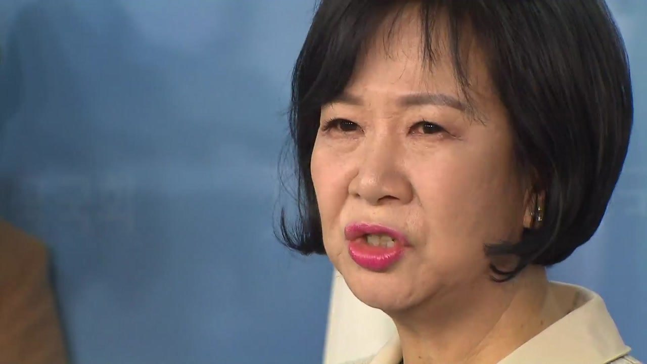 [취재N팩트] 손혜원 "검찰 수사 요청"...쟁점과 수사 전망은? / YTN