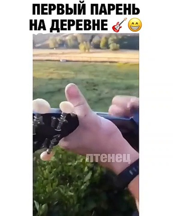 Музыкальные коровки