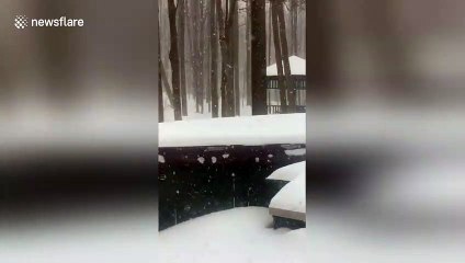 Winter Storm Harper blankets Ohio