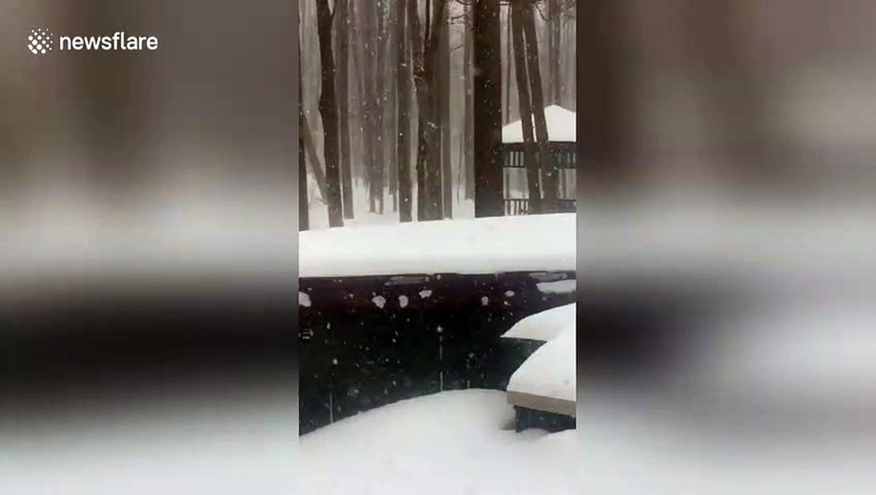 Winter Storm Harper blankets Ohio