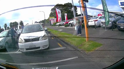 Woman Falls from Car After Minor Accident