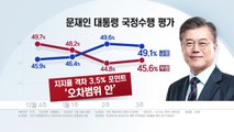 [더뉴스-더여론] 손혜원에 잡힌 문 대통령 지지도와 황교안의 국정농단 책임 / YTN