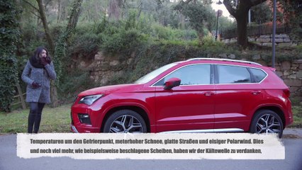Seat - Fünf Tipps für vollen Durchblick im Winter