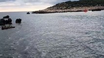 Kaş kıyılarında Akdeniz foku görüldü
