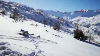 Siirt'te Jandarma Ekipleri PKK'ya Nefes Aldırmıyor