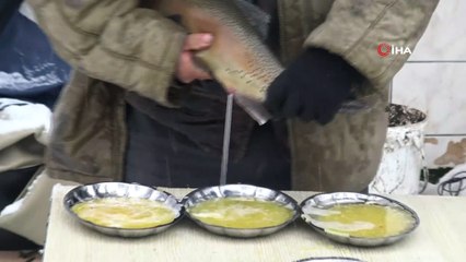 Uludağ'ın eteklerindeki alabalıklar işte böyle üretiliyor
