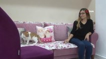 İzmir'de Akıl Almaz Olay...kediden Bulaşan Parazit Gözlerini Kör Etti