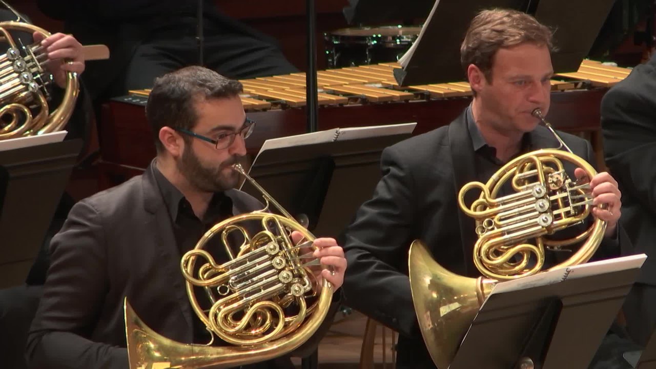 Bruno Fontaine : Suite François de Roubaix (Le Vieux Fusil, Dernier Domicile connu)