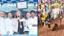 Jallikattu Has Entered The Guinness Book Of Records | Oneindia Telugu