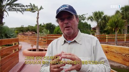 세계테마기행 - 신화의 땅 아틀라스 2부- 사하라 너머 대서양으로_#003