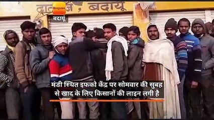 यहां तो छुट्टी में भी इफको केंद्र पर यूरिया के लिए लाइन