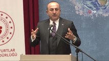 Dışişleri Bakanı Mevlüt Çavuşoğlu : 