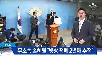 무소속 손혜원의 행보…“빙상 적폐 2년째 추적”