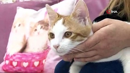 Kediden bulaşan parazit iki kadının gözünü kör etti