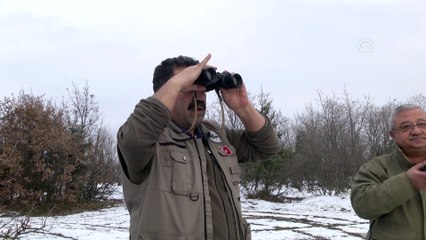 Yaban hayatı onlara emanet - KASTAMONU