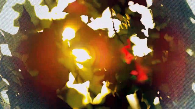 A vendre - Appartement - Villeneuve (1844) - 4.5 pièces - 110m²