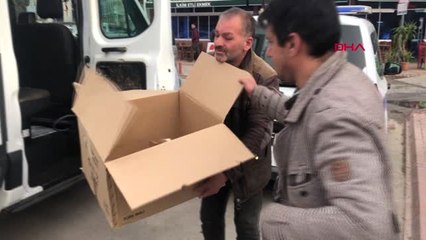 Bursa Otomobil Altında Kalan Kediye Esnaf Sahip Çıktı