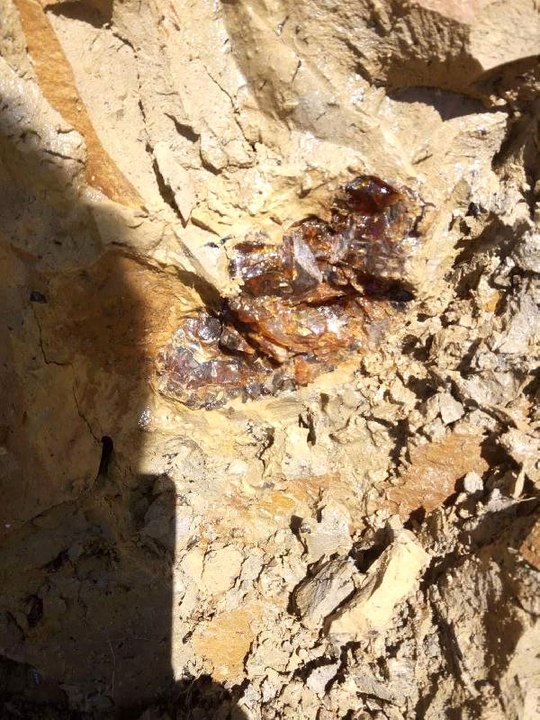 Bayburt'ta Kömür Diye Toplanıp Yakılan Taşın Kehribar Olduğu Öğrenilince, Bir Çok Ülke Almak İçin Sıraya Girdi