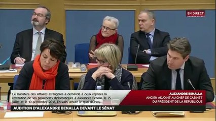 Download Video: Audition au Sénat: Devant les sénateurs, Alexandre Benalla reconnaît avoir commis 