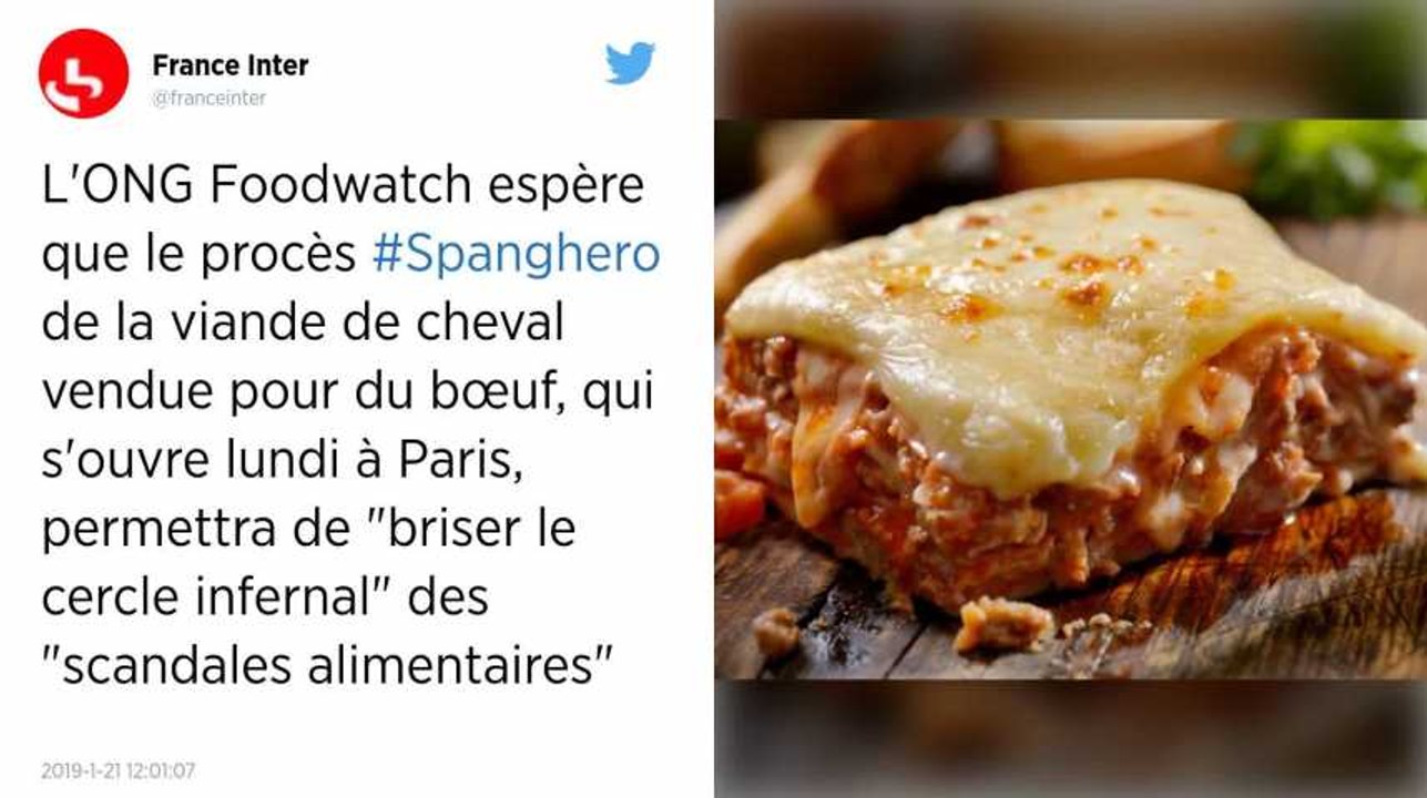 Scandale de la viande de cheval : le procès Spanghero s’ouvre aujourd’hui