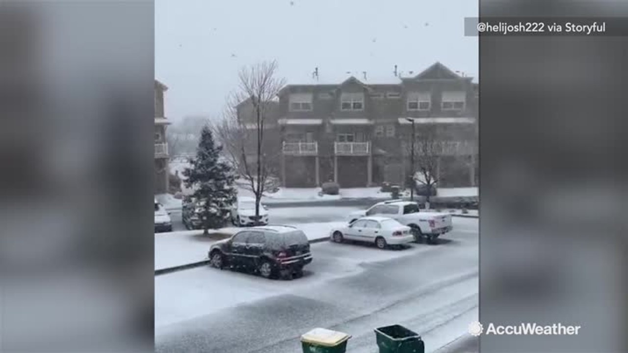 Big flakes fall in Colorado