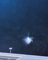 Ce dingue saute du 11e étage d'un paquebot  aux Bahamas