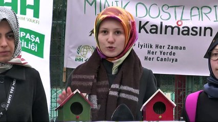 Minik dostlarımız açıkta kalmasın dediler, ağaçlara kuş evleri astılar