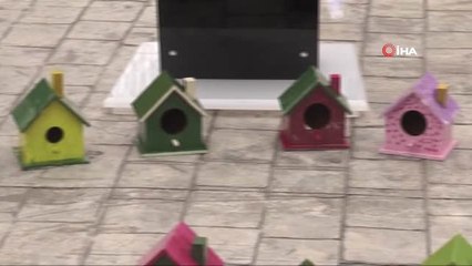 Minik Dostlarımız Açıkta Kalmasın Dediler, Ağaçlara Kuş Evleri Astılar
