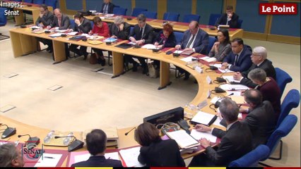 Alexandre Benalla devant les sénateurs : "Je ne vous ai pas menti"