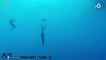 Esprit Bleu : Alice Modolo décrit sa plongée à plus de 80 mètres