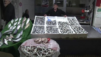 600 Ton Hamsi Avlanan Zonguldak'ta, Hamsi Kıtlığı Yaşanıyor