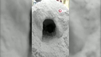 Kahramanmaraş'ta 'Eskimo' Evinde Çay Keyfi