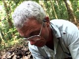 Jungle Hooks With Jeremy Wade S01E03 Backwater Bites