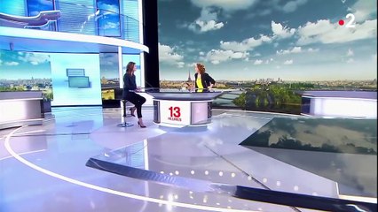 Vague de froid : la neige attendue mardi en plaine