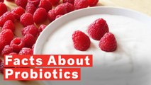 5 Things You Did Not Know About Probiotics